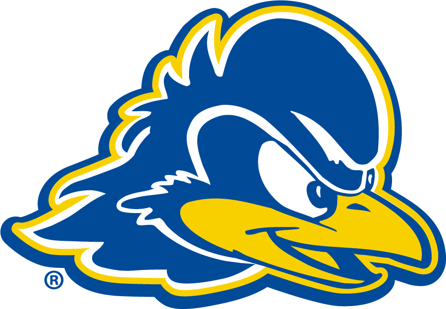 Delaware Blue Hens iron ons